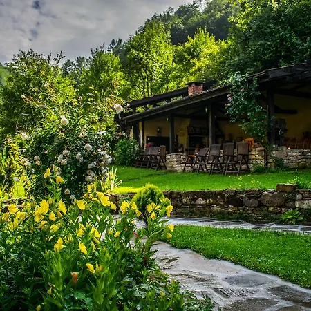 Verbena Hotel