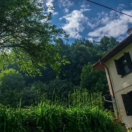 Verbena Hotel