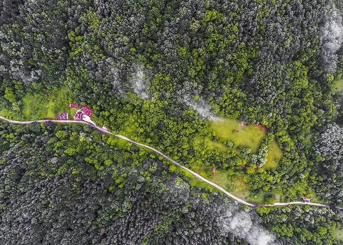 Verbena 3* 阿普里尔齐