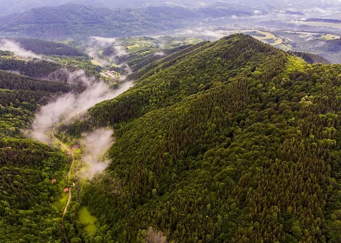 Verbena 3* 阿普里尔齐