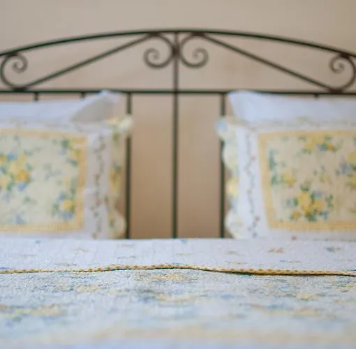 Verbena 阿普里尔齐