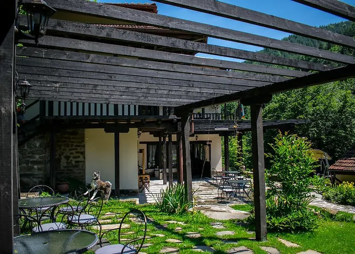 Verbena 阿普里尔齐