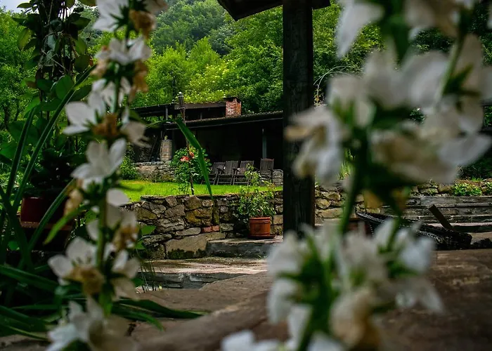 Verbena 3* 阿普里尔齐